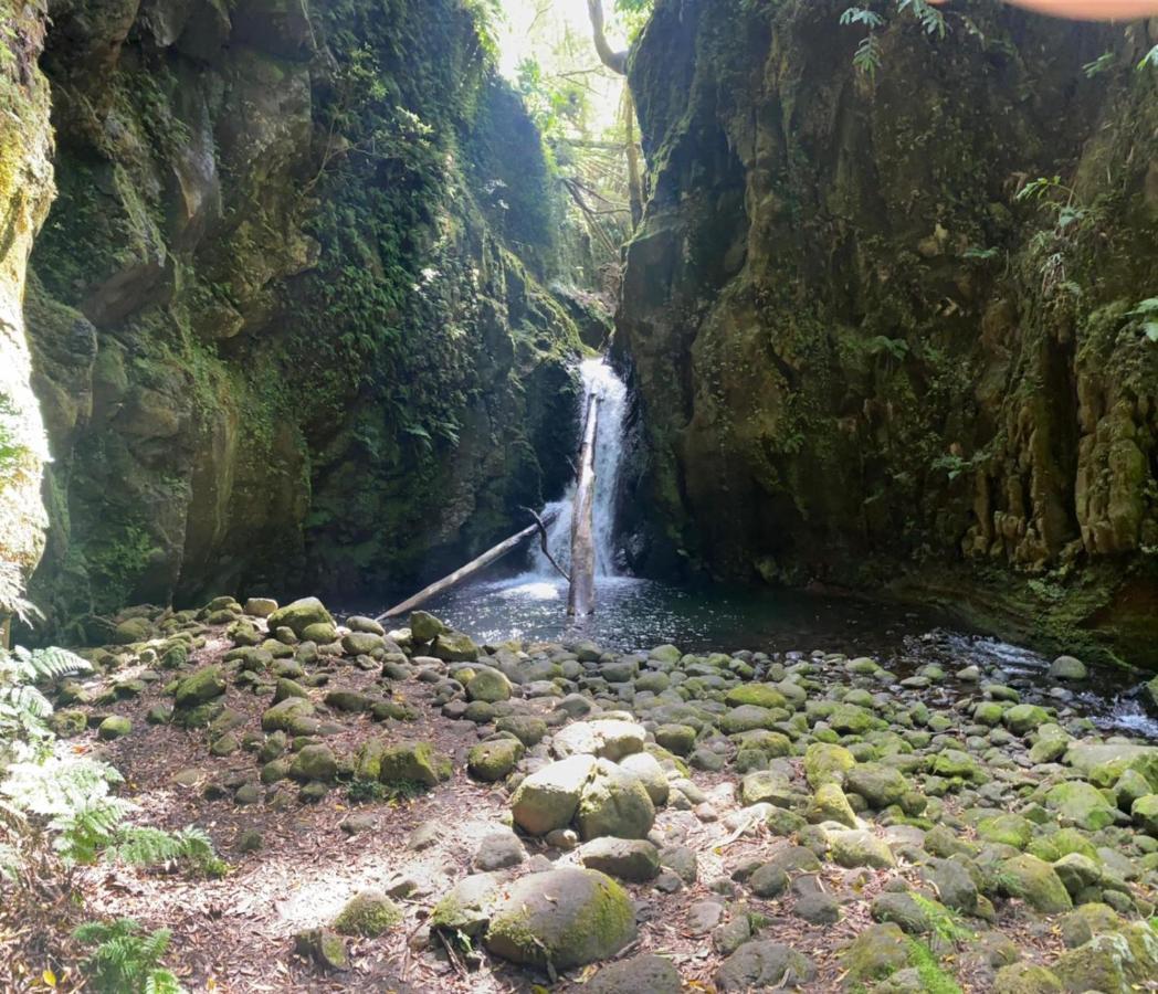 فيلا Casa Auri Faial da Terra المظهر الخارجي الصورة